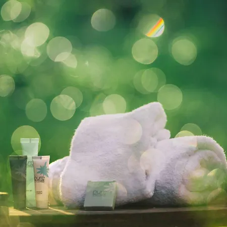 1550 : Cosy 4 Pers, Animaux Ok, Acces - Fr-1-631-229 *